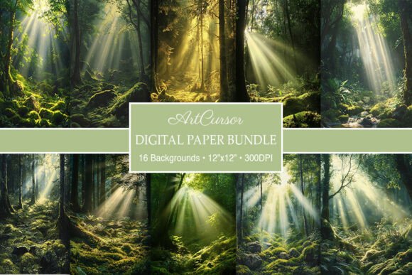 Serene Sun Rays Forest Paper Backgrounds: A Designer's Guide
